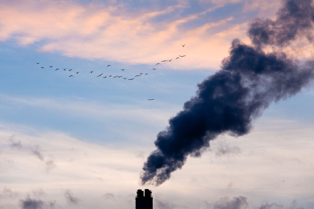 A photo of birds flying across a clouded sky with black smoke being emitted from a stack of chimneys.